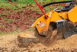How Our Tree Care Process Works  in  Carlin, NV